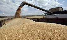 Украина будет экспортировать зерно через Польшу и Румынию