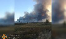 206 спасателей тушат пожар: в Новомосковском районе горит лес