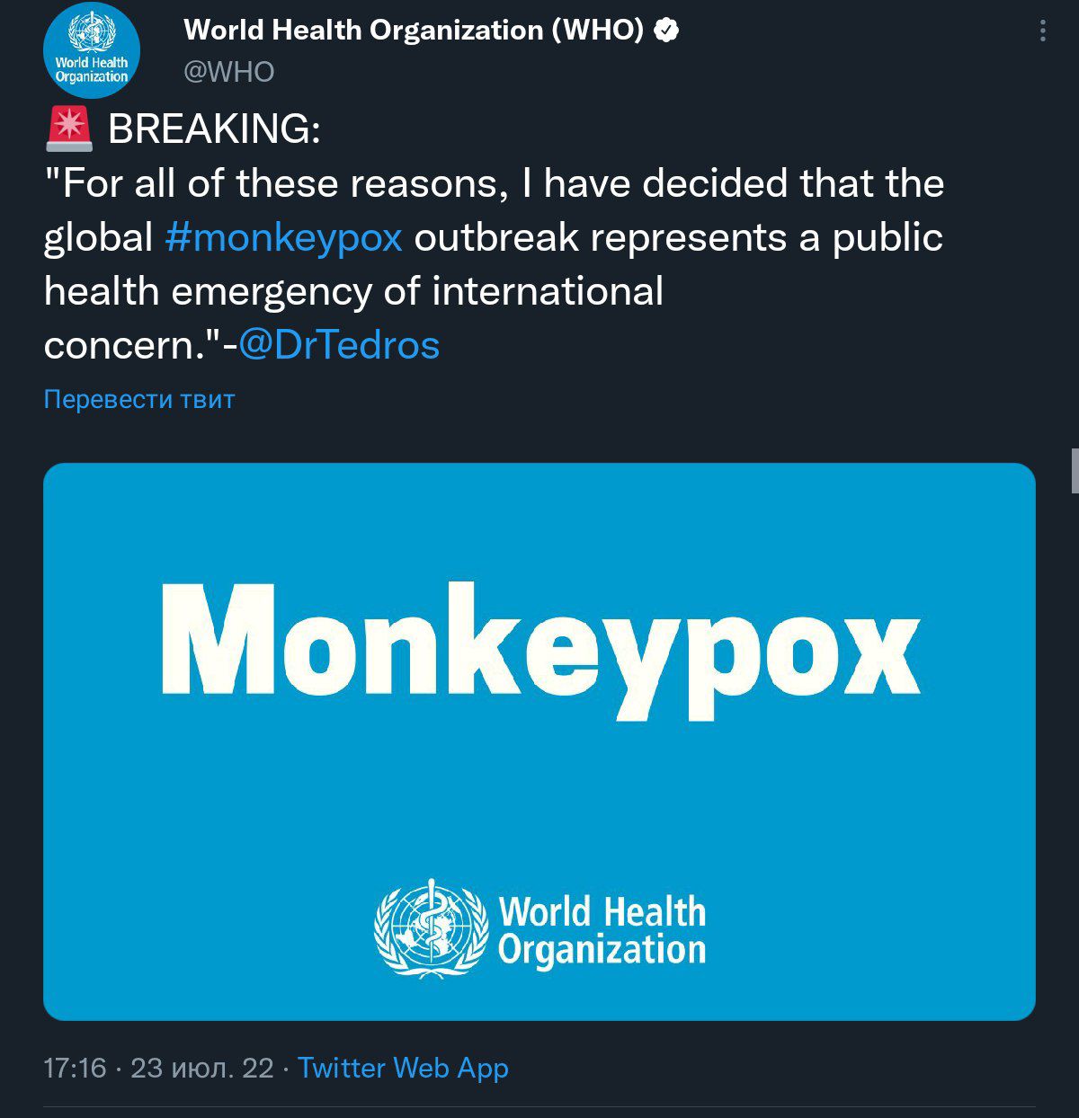 Новости Днепра про Невже знову: мавп'ячу віспу таки оголосили загрозою для галузі охорони здоров'я в світі