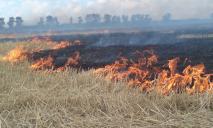 Оккупанты уничтожили около 400 га полей с посевами в Днепропетровской области