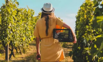 Продавец чебуреков, сборщики ягод и бариста: кого ищут и сколько можно заработать на сезонной работе в Днепре