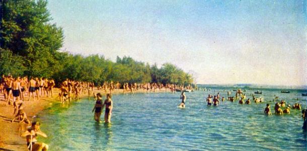 Золотые пляжи и заросли камыша: как выглядел Шевский остров 50 лет назад (ФОТО)