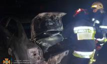 Вогонь охопив усю автівку: у Новомосковську згорів Audi