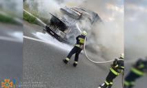 На Дніпропетровщині на трасі загорілась вантажівка: коментар ДСНС