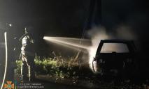На Дніпропетровщині ВАЗ врізався в електроопору та загорівся