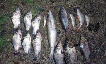 15 рибин за 41 600 гривень: на Дніпропетровщині затримали браконьєра