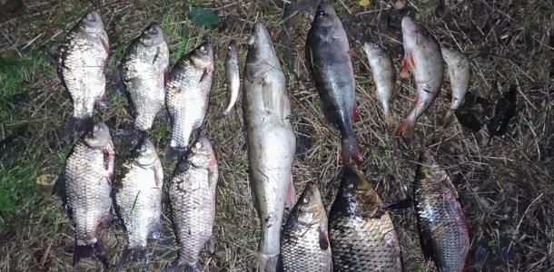 15 рибин за 41 600 гривень: на Дніпропетровщині затримали браконьєра