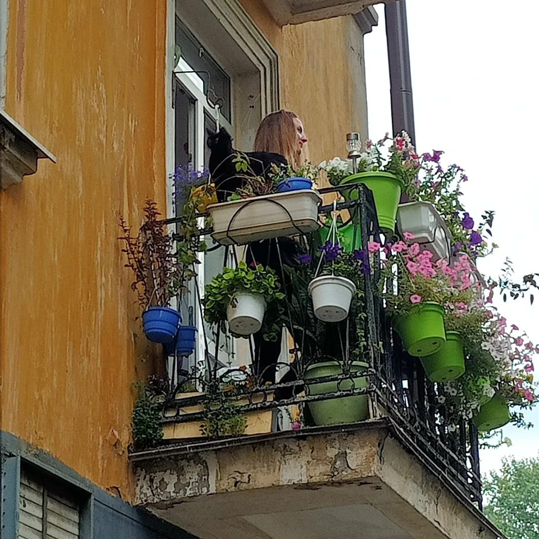 Новости Днепра про Летом – цветы и коты, зимой – гирлянды и елка: в Днепре заметили балкон-сад