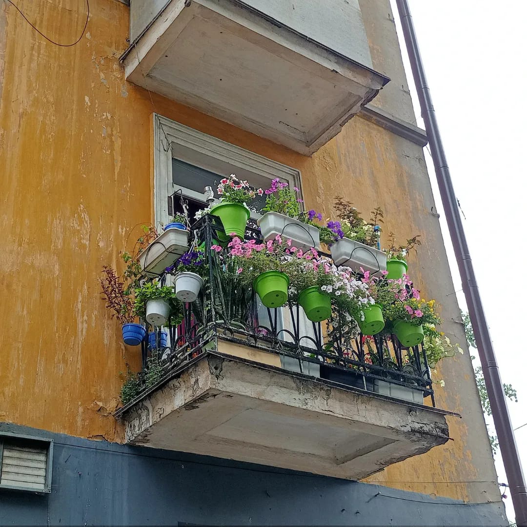 Новости Днепра про Летом – цветы и коты, зимой – гирлянды и елка: в Днепре заметили балкон-сад