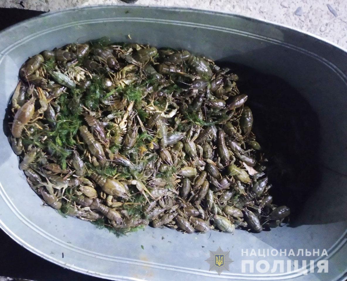 Новости Днепра про Выловили почти 1200 раков: на Днепропетровщине полицейские задержали браконьеров
