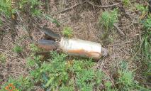 “Подарунки” від окупантів: на Дніпропетровщині піротехніки ДСНС знищили 33 боєприпаси
