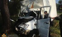 На Днепропетровщине Mercedes Sprinter столкнулся с грузовиком и врезался в дерево