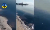 Экологическая катастрофа: в Бердянске почернело море