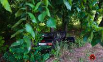 На Гаванськой в Днепре пьяный водитель ВАЗ врезался у дерево (ФОТО)