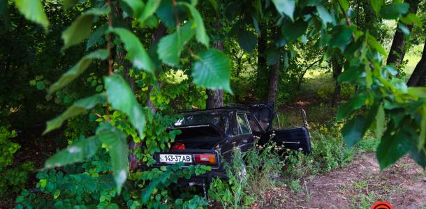 На Гаванськой в Днепре пьяный водитель ВАЗ врезался у дерево (ФОТО)