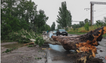 Вирване з корінням: у Дніпрі через негоду дерево впало на дорогу