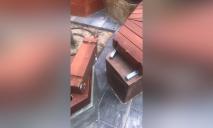 У Дніпрі вандали пошкодили дитячий майданчик у парку Зелений Гай