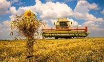 Будем с зерном: на Днепропетровщине аграрии завершили собирать ранние культуры