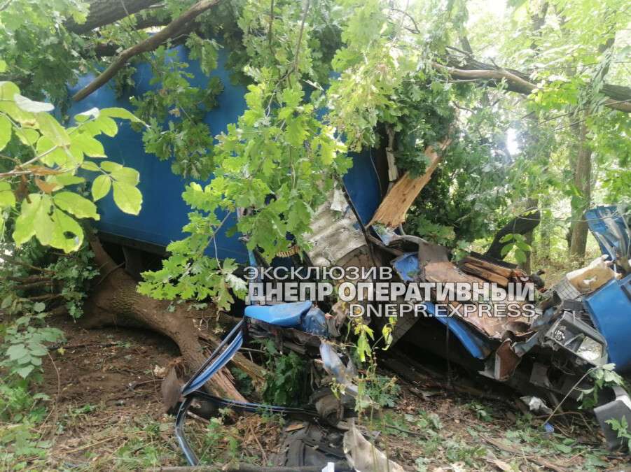 Новости Днепра про Под Днепром грузовик въехал в дерево: есть пострадавшие