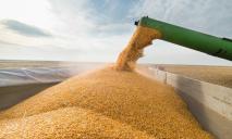 Украина за месяц экспортировала уже миллион тонн зерна, – Зеленский