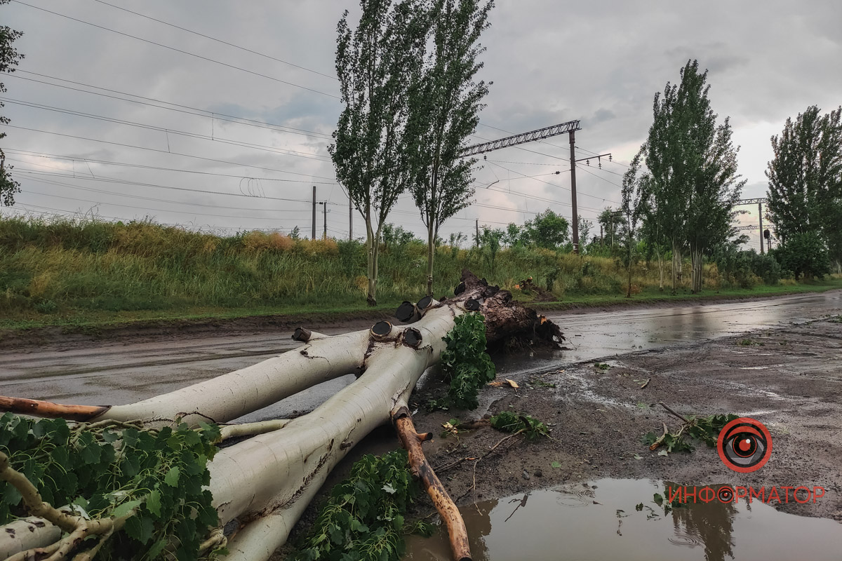 Новости Днепра про Вирване з корінням: у Дніпрі через негоду дерево впало на дорогу