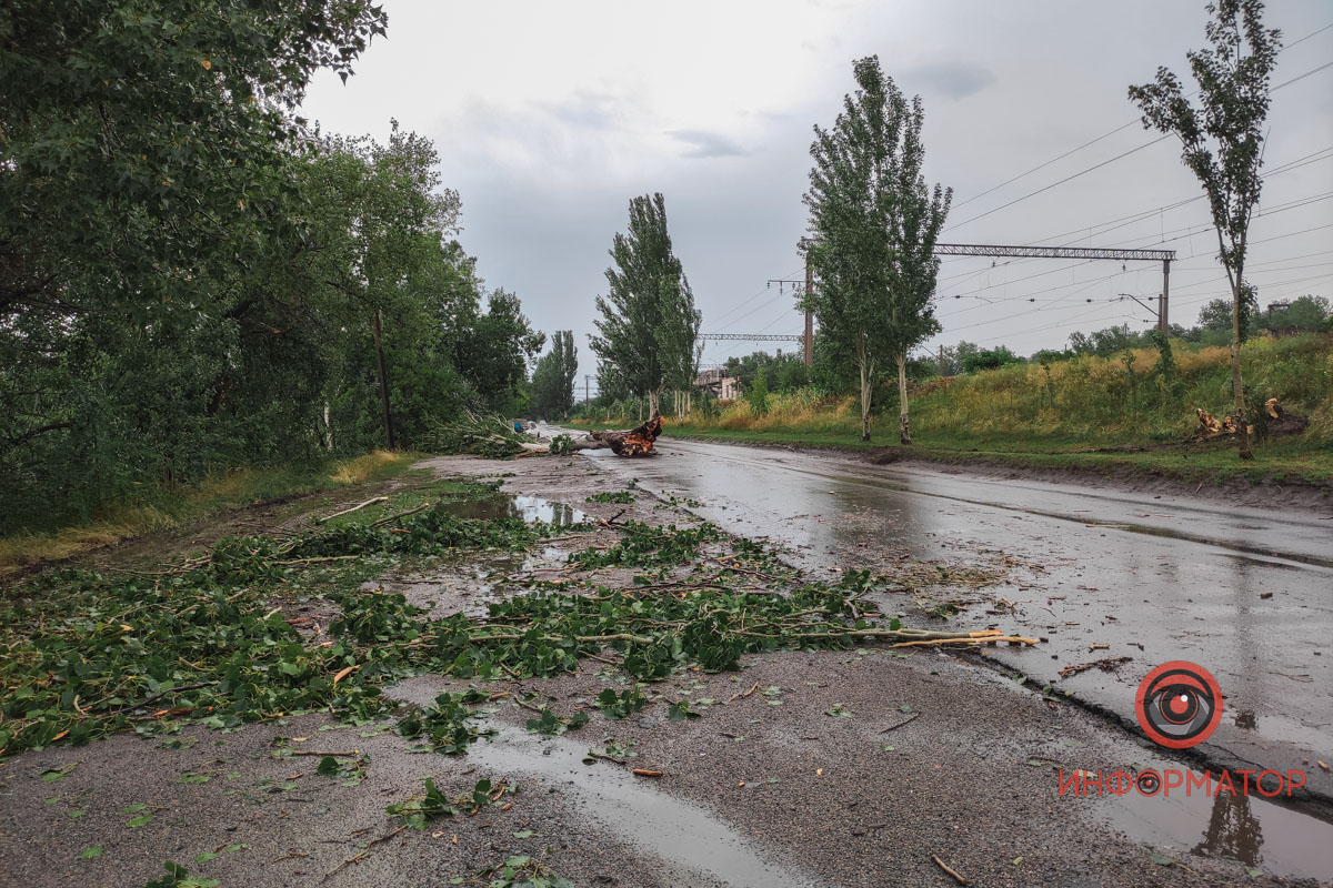Новости Днепра про Вирване з корінням: у Дніпрі через негоду дерево впало на дорогу