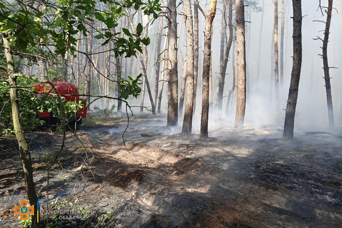 Новости Днепра про На Днепропетровщине спасатели тушили пожар в лесном массиве