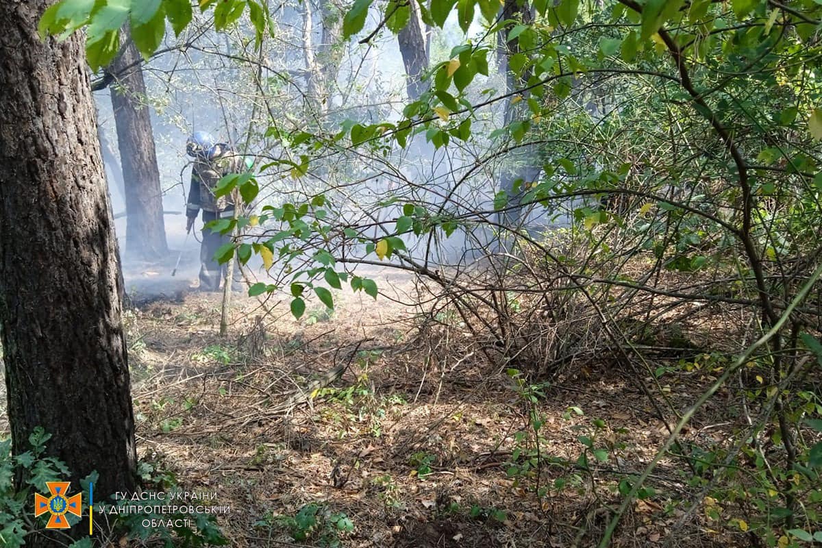 Новости Днепра про На Днепропетровщине спасатели тушили пожар в лесном массиве