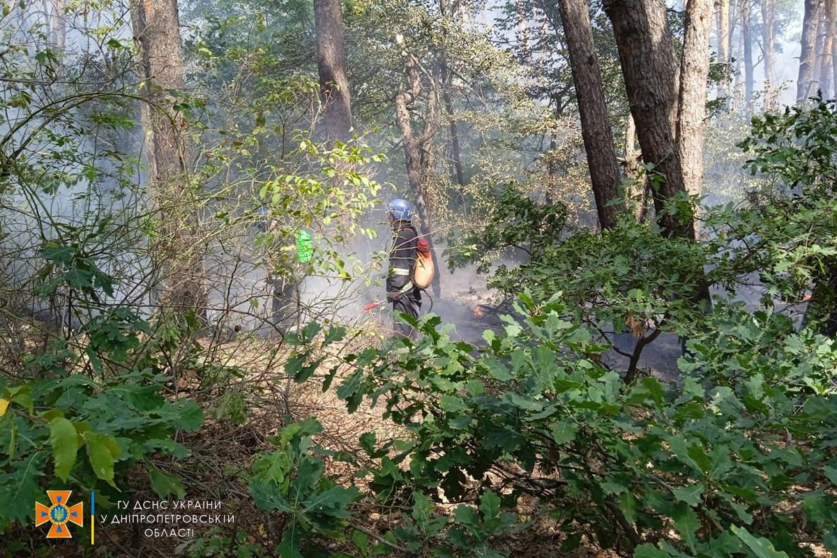 Новости Днепра про На Дніпропетровщині рятувальники гасили пожежу у лісовому масиві