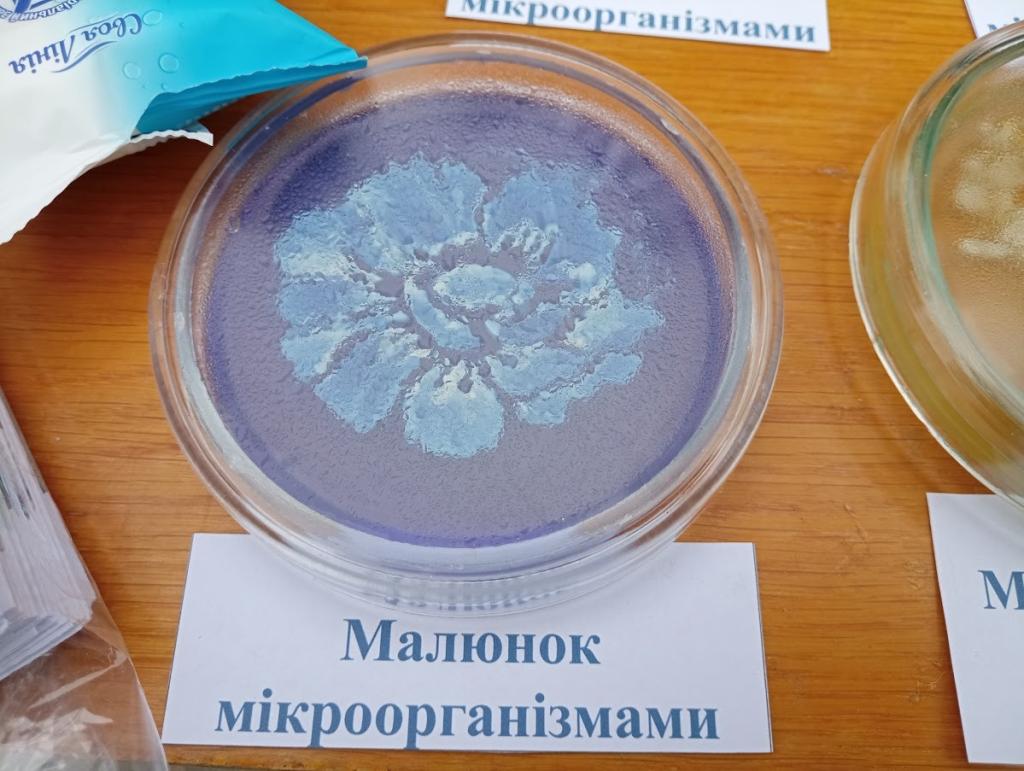 Новости Днепра про У Дніпрі пройде виставка малюнків, зроблених мікробами
