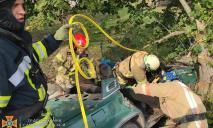 На Днепропетровщине ВАЗ врезался в дерево: погиб подросток и еще один пострадал
