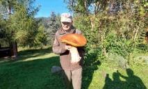 Справжній гігант: у Карпатах знайшли гриб вагою 3 кг