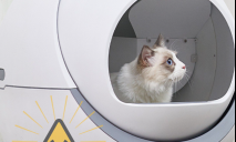 Как защитить домашних животных от радиоактивного заражения