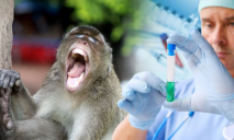 В Украине зарегистрировали первый случай оспы обезьян