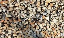 В Украине выросли цены на дрова: где дешевле купить, чтоб не замерзнуть зимой