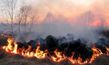Незважаючи на хмарність: у Дніпрі та області оголосили попередження про пожежну небезпеку