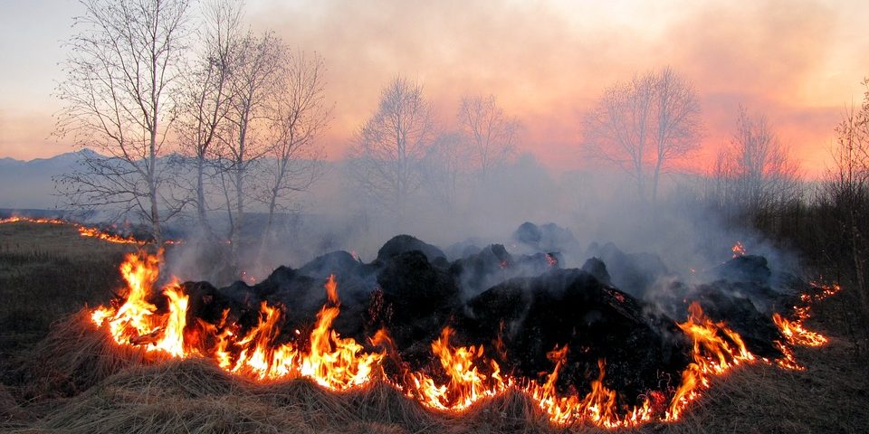 Новости Днепра про Несмотря на облачность: в Днепре и области объявили предупреждение о пожарной опасности