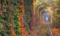 На Дніпропетровщині показали, як виглядає місцева версія тунелю кохання (ФОТО)