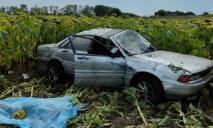 На Дніпропетровщині автомобіль вилетів у поле: загинула жінка