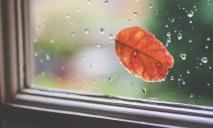 Погода в Днепре в среду, 26 октября: ожидается сильный дождь