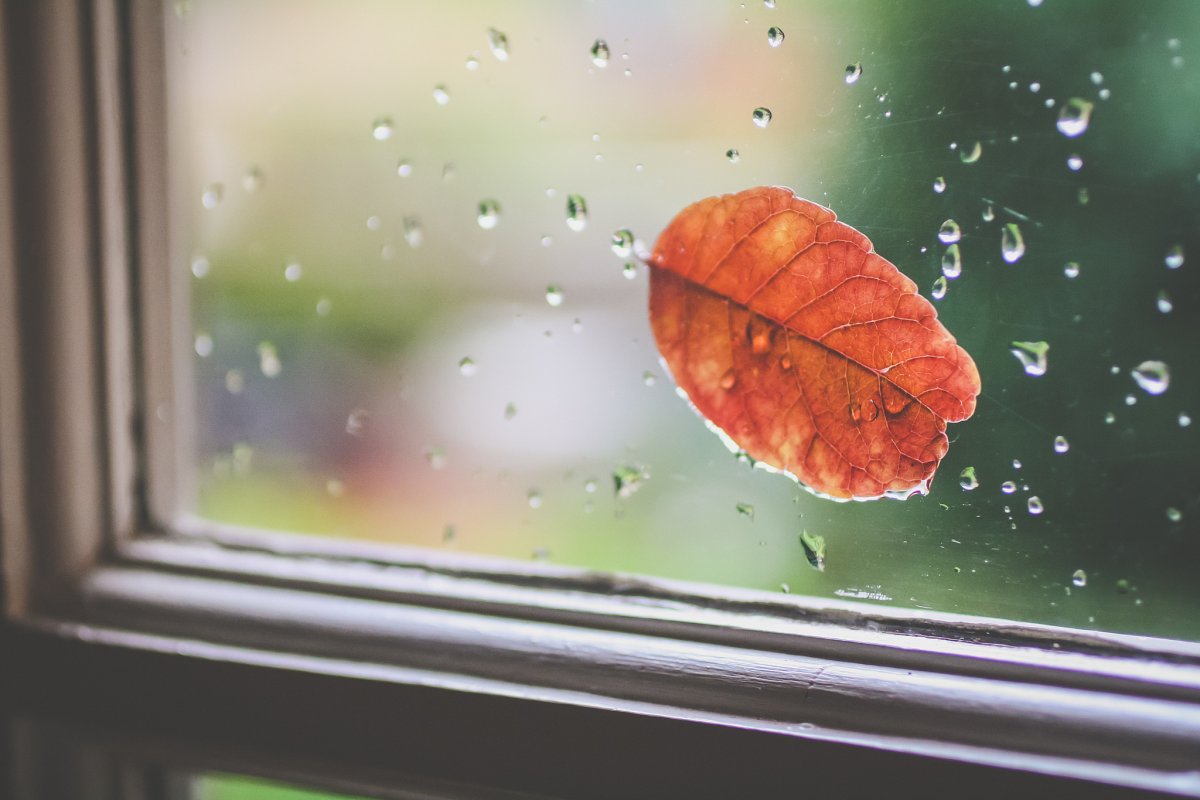 Новости Днепра про Погода в Днепре в среду, 26 октября: ожидается сильный дождь