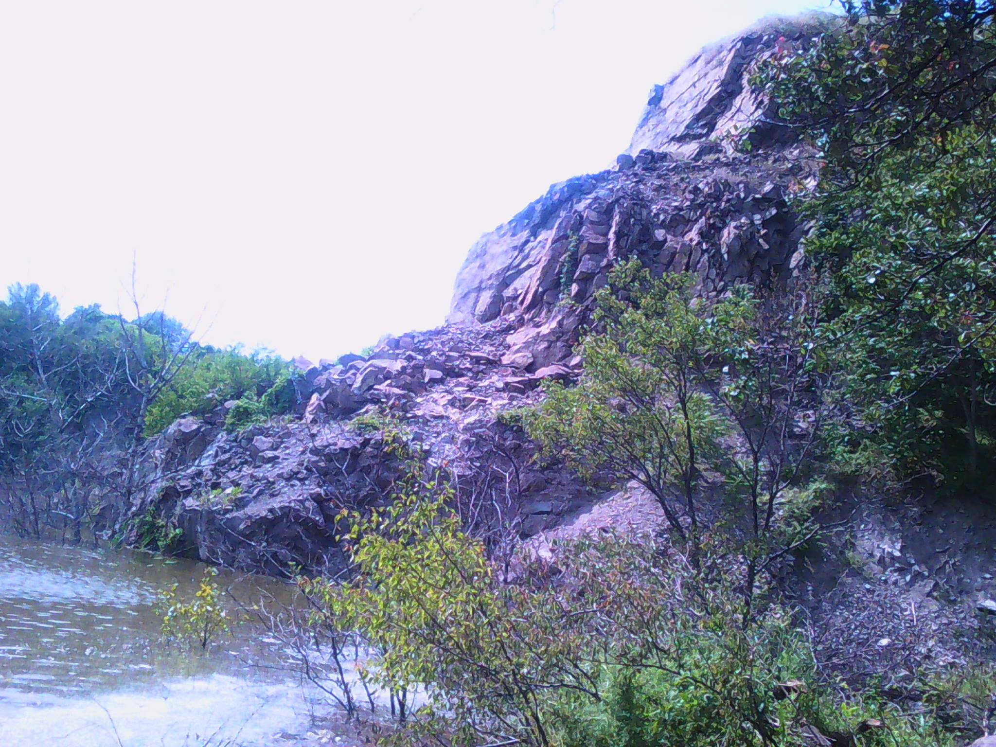 Новости Днепра про «Водопад» из мха и растущие в воде деревья: где неподалеку Днепра находится необычный карьер