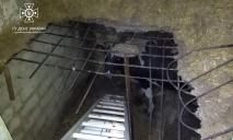 На Днепропетровщине корова упала в погреб: ее доставали спасатели