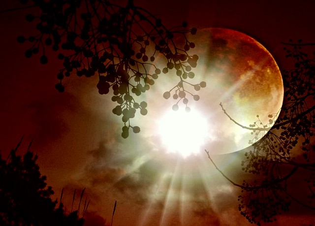Новости Днепра про Сонячне затемнення 2022: де і коли його можна побачити