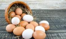 В Госпотребслужбе назвали причины стремительного подорожания яиц в Днепропетровской области