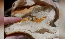 В днепровском «Варусе» продают сырой хлеб (ФОТО)