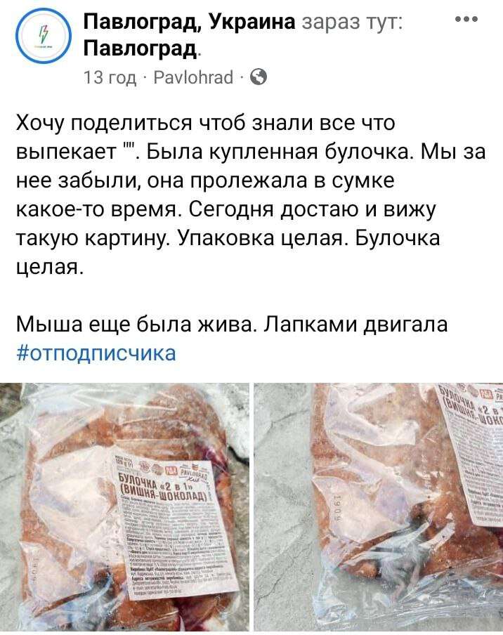 Новости Днепра про 2 в 1: в Павлограді покупець придбав булочку з живою мишкою