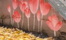 Гном-наїздник і гігантські тюльпани: 7 незвичних графіті ж/м Тополя у Дніпрі