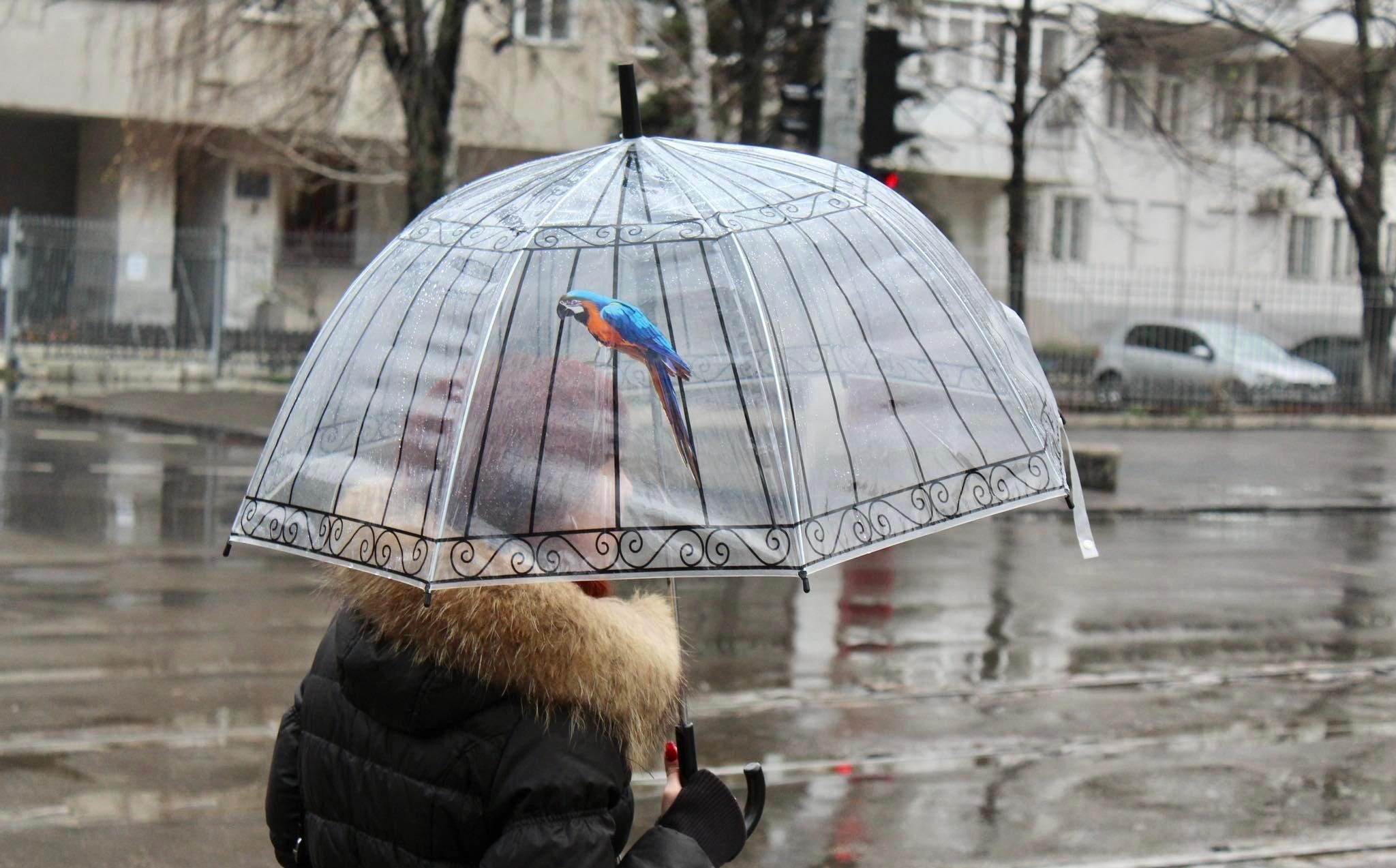 Новости Днепра про Погода в Днепре во вторник, 22 ноября: ожидается мелкий дождь