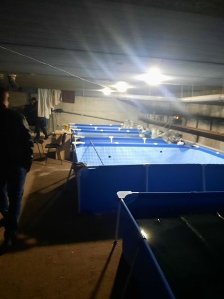 Новости Днепра про Підвал багатоповерхівки в Дніпрі заставили басейнами з водою, щоб вирощувати морепродукти